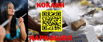 шишки Кингисепп