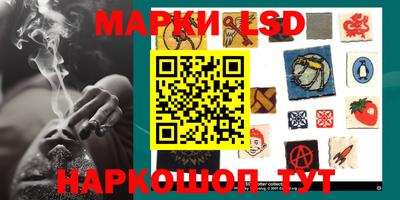 шишки Кингисепп
