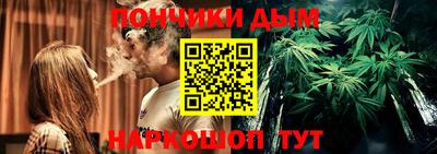 шишки Кингисепп