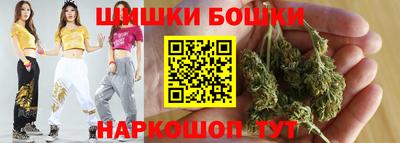 шишки Кингисепп