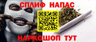 шишки Кингисепп