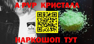 шишки Кингисепп