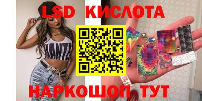 шишки Кингисепп